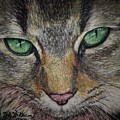 Sharna Eyes by Bob Williams