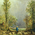 Sheep Watching A Storm by Constant-Emile Troyon Sheep Watching A Storm by Constant-Emile Troyon
