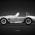 Shelby Cobra 427 SC 1965 Photograph by Mark Rogan Shelby Cobra 427 SC 1965 Photograph by Mark Rogan