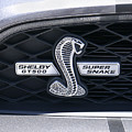 SHELBY GT 500 Super Snake Photograph by Mike McGlothlen SHELBY GT 500 Super Snake Photograph by Mike McGlothlen