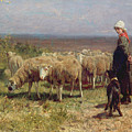 Shepherdess by Anton Mauve Shepherdess by Anton Mauve