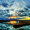 Shimmering Photograph by DJA Images
