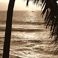 Ship in Sunset by Marilyn Hunt Ship in Sunset by Marilyn Hunt
