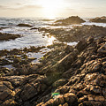 Shore Rays by Jorgo Photography - Wall Art Gallery Shore Rays by Jorgo Photography - Wall Art Gallery