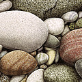 Shore Stones Painting by JQ Licensing