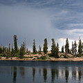 Shoreline Pine Trees and Storm Photograph by Brett Pelletier Shoreline Pine Trees and Storm Photograph by Brett Pelletier