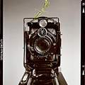 Shutterbug Mantis by Martin Konopacki