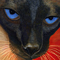 Siamese Painting by Karen Zuk Rosenblatt Siamese Painting by Karen Zuk Rosenblatt