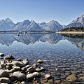 Jackson Lake near Signal Mountain Lodge Photograph by Shirley Mitchell Jackson Lake near Signal Mountain Lodge Photograph by Shirley Mitchell