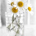 Simple Flowers by Edward Fielding Simple Flowers by Edward Fielding