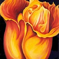 Singing Tulip Painting by Jordana Sands Singing Tulip Painting by Jordana Sands
