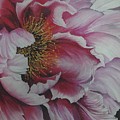 Single Peony by Karin Dawn Kelshall- Best Single Peony by Karin Dawn Kelshall- Best