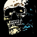 Skull against a dark background by Nick  Biemans