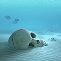 Skull on sandy ocean bottom Photograph by Johan Swanepoel Skull on sandy ocean bottom Photograph by Johan Swanepoel
