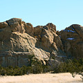 Sleeping elephant Photograph by Robert WK Clark Sleeping elephant Photograph by Robert WK Clark