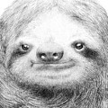 Sloth Drawing by Eric Fan Sloth Drawing by Eric Fan