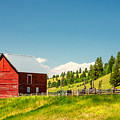 Small Red Shed Photograph by Todd Klassy Small Red Shed Photograph by Todd Klassy