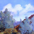 Smoke Trees in Bloom in Palm Desert Painting by Maria Hunt Smoke Trees in Bloom in Palm Desert Painting by Maria Hunt