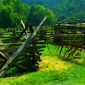 Smoky Mountain farm 1900s Digital Art by Flees Photos Smoky Mountain farm 1900s Digital Art by Flees Photos