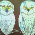 Snow Birds Drawing by Suzanne Berthier Snow Birds Drawing by Suzanne Berthier