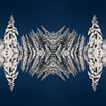 Snow Covered Trees Kaleidoscope Digital Art by Pelo Blanco Photo Snow Covered Trees Kaleidoscope Digital Art by Pelo Blanco Photo