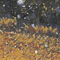 Snow in October Photograph by Unhinged Artistry Snow in October Photograph by Unhinged Artistry