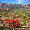 Snowbasin and Autumn Colors Photograph by Brett Pelletier Snowbasin and Autumn Colors Photograph by Brett Pelletier