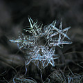 Snowflake of 19 March 2013 by Alexey Kljatov