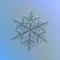 Snowflake Photo - Majestic Crystal by Alexey Kljatov Snowflake Photo - Majestic Crystal by Alexey Kljatov