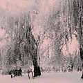 Snowing again Photograph by Julie Lueders Snowing again Photograph by Julie Lueders