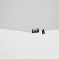 Snowscapes Almost there Photograph by Ronny Behnert Snowscapes Almost there Photograph by Ronny Behnert