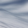 Snowy Shadows 2 by Lauri Novak Snowy Shadows 2 by Lauri Novak