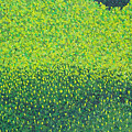 Soft Green Wet Trees Painting by Dean Triolo Soft Green Wet Trees Painting by Dean Triolo