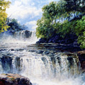 Softly Fall The Swallow Falls by Georgiana Romanovna Softly Fall The Swallow Falls by Georgiana Romanovna