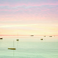 Softness And Light by Evelina Kremsdorf Softness And Light by Evelina Kremsdorf