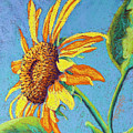 Sol by Tracy L Teeter