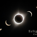 Solar Eclipse Collage 3 Photograph by Rikk Flohr Solar Eclipse Collage 3 Photograph by Rikk Flohr