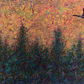 Solitary Goose by James W Johnson Solitary Goose by James W Johnson
