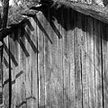 SomeRainGetsThrough Photograph by Curtis J Neeley Jr SomeRainGetsThrough Photograph by Curtis J Neeley Jr
