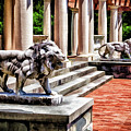 Sonnenberg Lions Photograph by Monroe Payne Sonnenberg Lions Photograph by Monroe Payne
