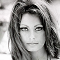 Sophia Loren Photograph by Georgia Fowler Sophia Loren Photograph by Georgia Fowler