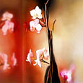 Soul Sisters Digital Art by Sand And Chi Soul Sisters Digital Art by Sand And Chi