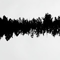 Sound waves made of trees reflected Photograph by Jorgo Photography Sound waves made of trees reflected Photograph by Jorgo Photography