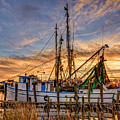 Southern Charm by Mike Covington