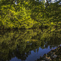 Southern Still Waters Photograph by Dale Powell Southern Still Waters Photograph by Dale Powell