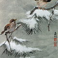 Sparrows on Snowy Pine Painting by Charlene Fuhrman-Schulz Sparrows on Snowy Pine Painting by Charlene Fuhrman-Schulz