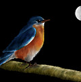 Spellbound By The Light Of The Silvery Moon Digital Art by Lois Bryan Spellbound By The Light Of The Silvery Moon Digital Art by Lois Bryan