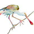 Spoonbill Painting by Amy Kirkpatrick Spoonbill Painting by Amy Kirkpatrick