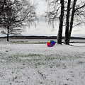Spot of Color by Randi Grace Nilsberg