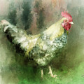 Spring Chicken Digital Art by Lois Bryan Spring Chicken Digital Art by Lois Bryan